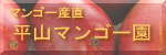 マンゴー産直 平山マンゴー園
